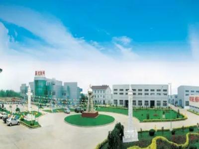 新金宝官方网站入口耀飞扬：起赴鸟巢 坚守不一样的寻梦记